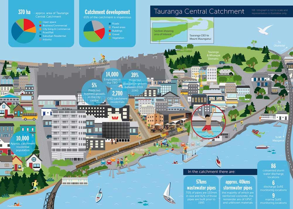 Infographic design for Tauranga City Catchment