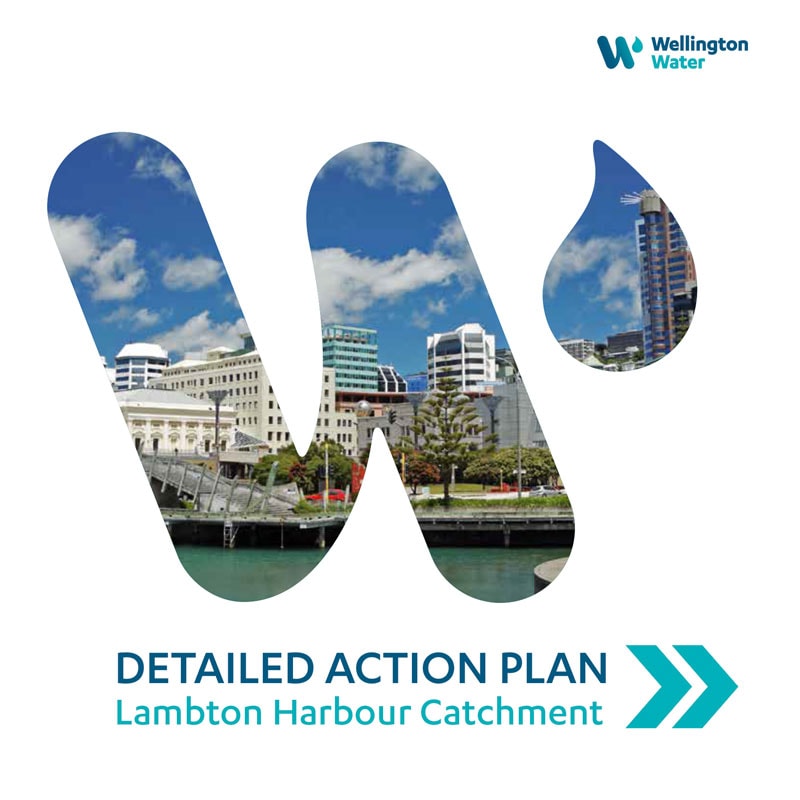 Catchment Plan documents for Wellington Water by Revelldesign