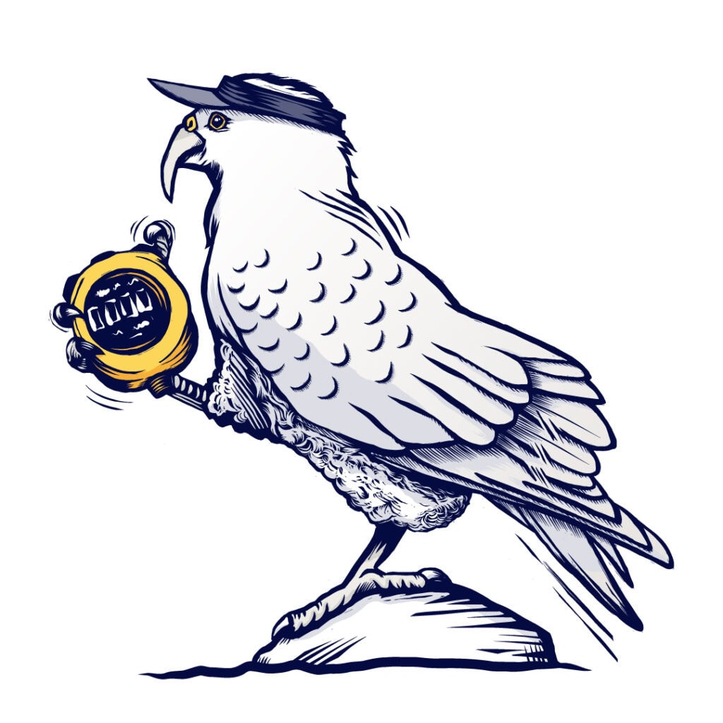 Timing Kea Illustration